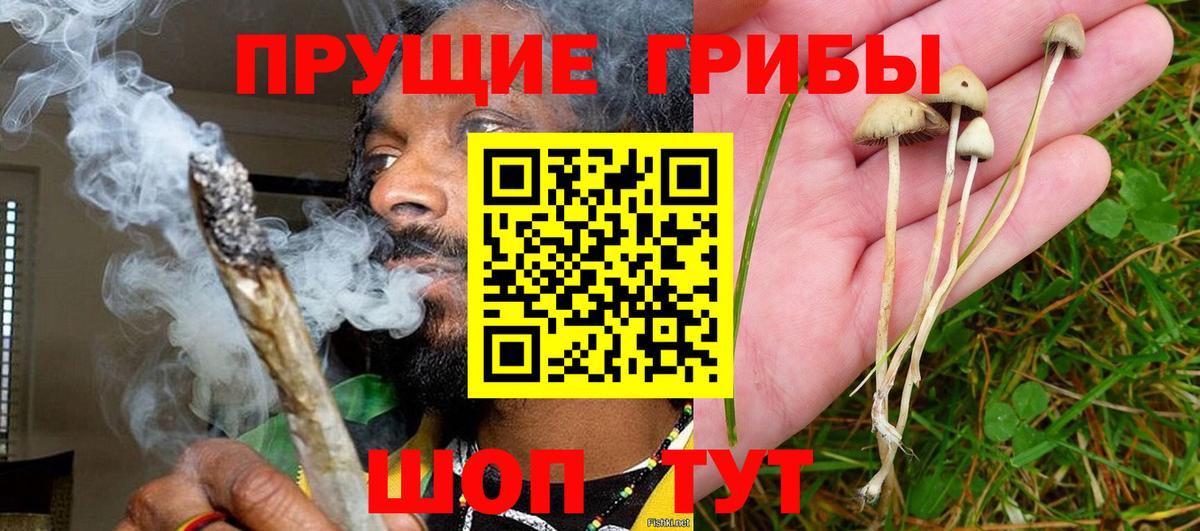 Галлюциногенные грибы Cubensis Нижнекамск