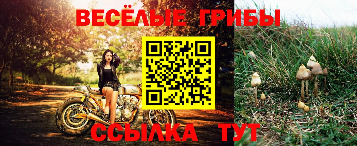 Псилоцибиновые грибы MAGIC MUSHROOMS  купить  цена  Нижнекамск  Галлюциногенные грибы мицелий  Вход с VPN 